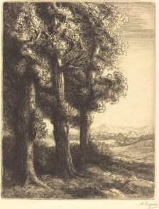 Corner of a Wood (Coin d'un bois). Creator: Alphonse Legros