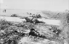 Corner of battlefield, Haelen, 1914. Creator: Bain News Service