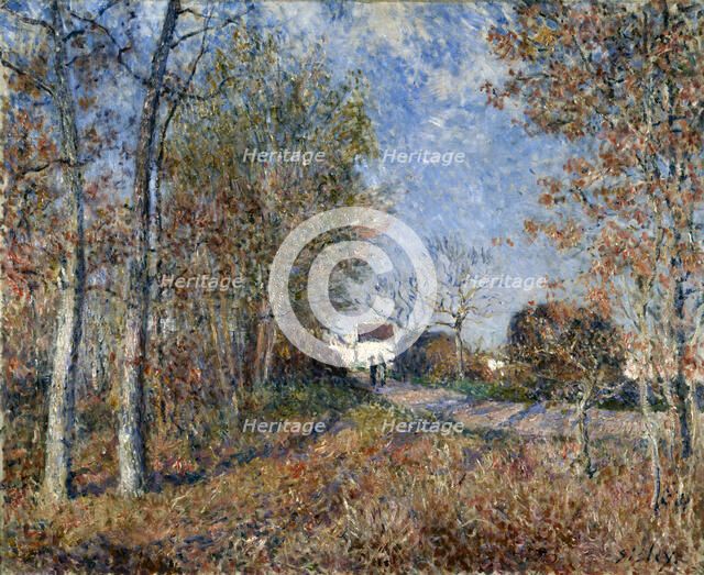 'Corner of the Wood near Sablons', 1883.  Creator: Alfred Sisley.