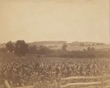 [Cornfield in Back of the Barn], 1883., 1883. Creator: Thomas Eakins