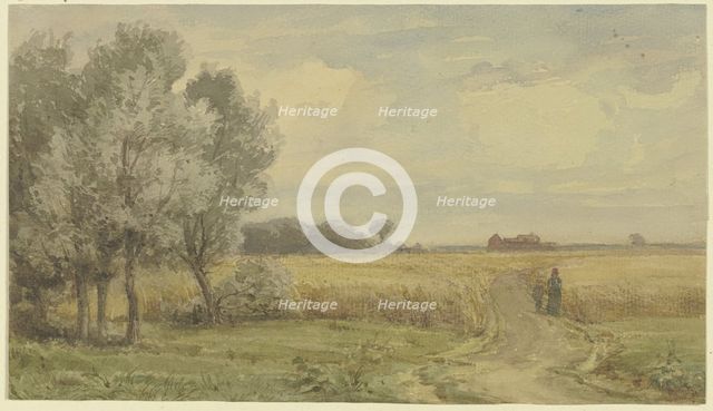 Cornfield in the summer, mid-late 19th century. Creator: Karl Peter Burnitz.