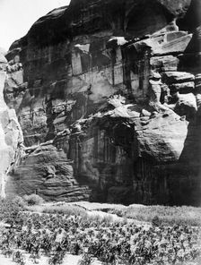 Cornfields of Cañon del Muerto, 1906, c1907. Creator: Edward Sheriff Curtis