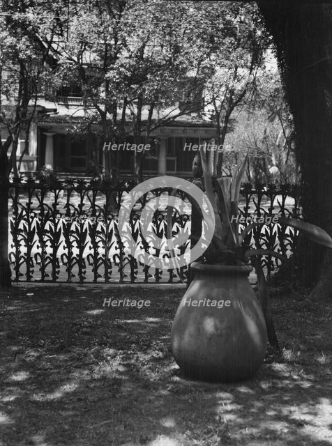 Cornstalk wrought iron fence, 1448 4th Street, New Orleans, between 1920 and 1926. Creator: Arnold Genthe.