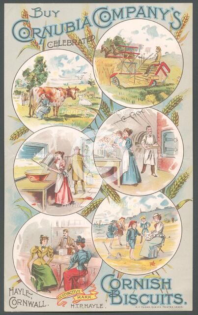 Cornubia Company Cornish biscuits, 1890s. Artist: Unknown