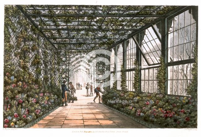 Corridor of a conservatory, 1808. Artist: Joseph Constantine Stadler