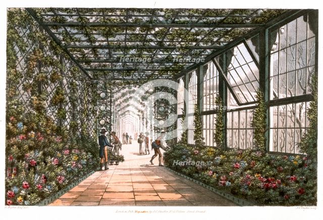 Corridor of a conservatory, 1808. Creator: Joseph Constantine Stadler.