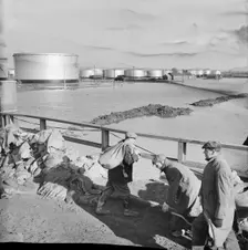 Coryton Oil Refinery, Thurrock, Essex, 02/02/1953. Creator: John Laing plc