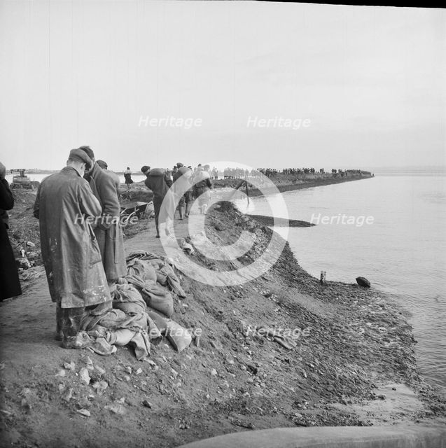 Coryton Oil Refinery, Thurrock, Essex, 02/02/1953. Creator: John Laing plc.