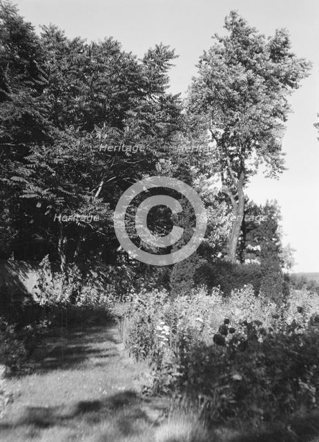 Cosgrave grounds, not before 1917. Creator: Arnold Genthe.