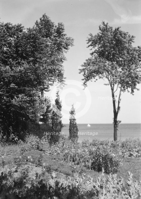Cosgrave grounds, not before 1917. Creator: Arnold Genthe.