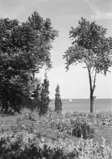 Cosgrave grounds, not before 1917. Creator: Arnold Genthe