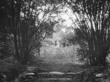 Cosgrave grounds, not before 1917. Creator: Arnold Genthe