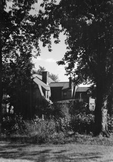 Cosgrave residence and grounds, not before 1917. Creator: Arnold Genthe