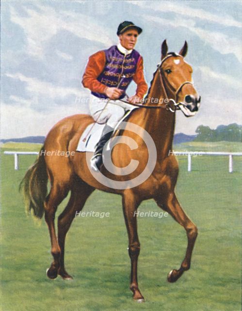 Cosmopolitan, Jockey: J. Crouch', 1939. Artist: Unknown.