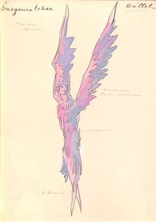 Costume design for the opera Snow Maiden by N, Rimsky-Korsakov, 1928