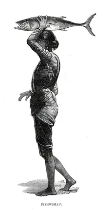 Costumes of Western India, fishwoman, 1876. Creator: Unknown