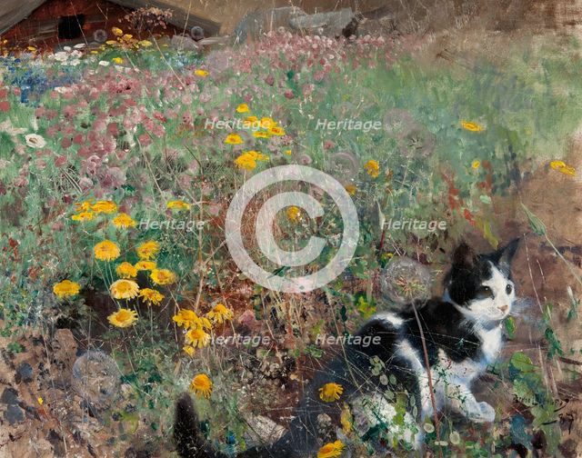 Cat on a flowery meadow, 1887. Creator: Bruno Liljefors.