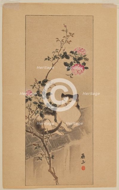 Cat on a roof underneath a rose bush. Creator: Yokoyama, Kazan (1784-1837).