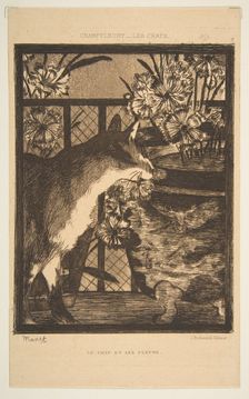 Cat and Flowers. Illustration to The Cats by Champfleury, 1869. Creator: Edouard Manet