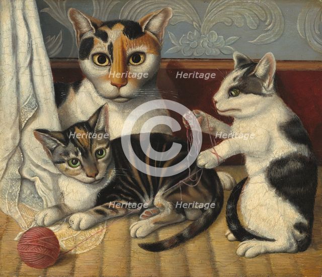 Cat and Kittens, c. 1872/1883. Creator: Unknown.