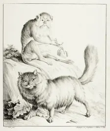 Cat and Monkey, 1814/16. Creator: Godefroy Engelmann