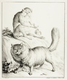 Cat and Monkey, 1814/16. Creator: Godefroy Engelmann