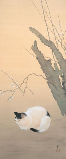 Cat and Plum Blossoms, 1906. Creator: Shunso, Hishida (1874-1911)