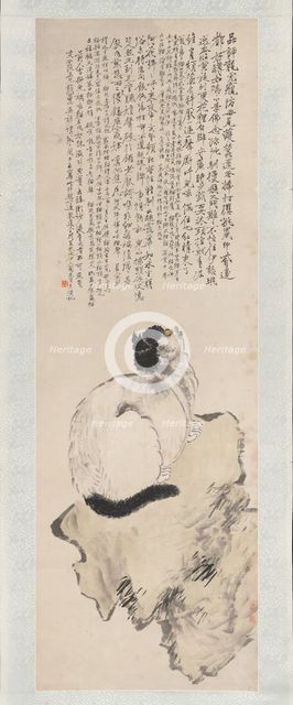 Cat. Creator: Wang Li.