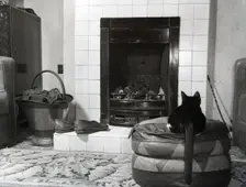 Cat in front of a coal fire, c1955. Creator: Arthur Charles Kirby Ware
