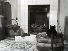 Cat in front of a coal fire, c1955. Creator: Arthur Charles Kirby Ware