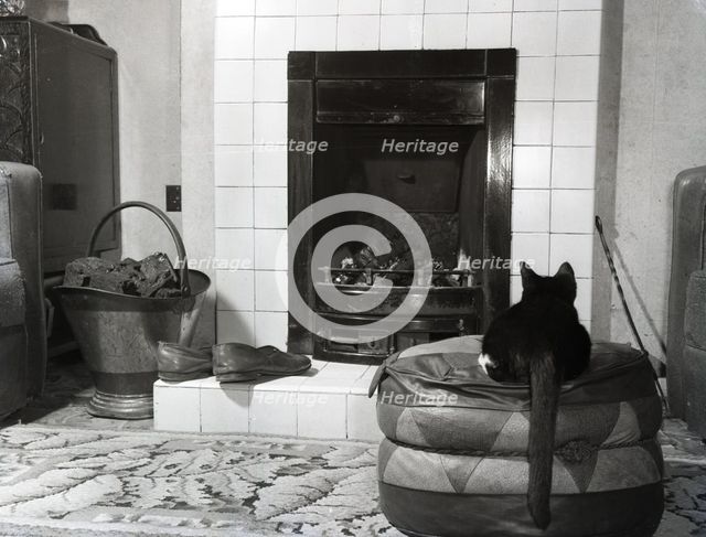 Cat in front of a coal fire, c1955. Creator: Arthur Charles Kirby Ware.