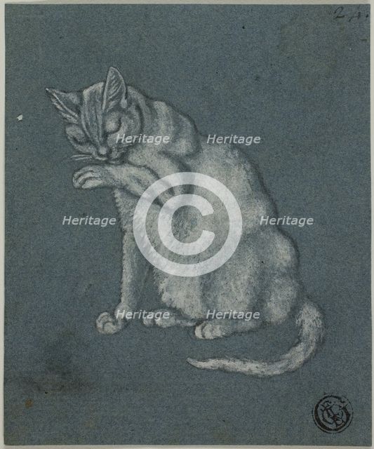 Cat Licking Paw, n.d. Creator: Unknown.