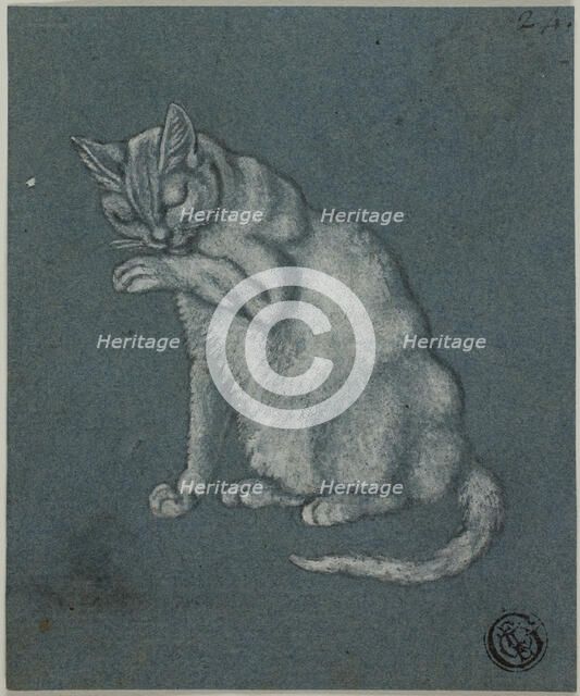 Cat Licking Paw, n.d. Creator: Unknown.