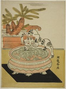 Cat Pawing at Goldfish, c. early 1770s. Creator: Isoda Koryusai