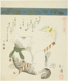 Cat Playing with a Toy Butterfly, from the series "Thirty-six Pictures of Birds (Sanjuroku..., 1828. Creator: Totoya Hokkei