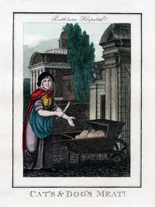 Cat's and Dog's Meat! Bethlem Hospital, London, 1805