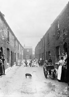 Cat's meat man on a slum street, London, 1900s. Creator: John Galt