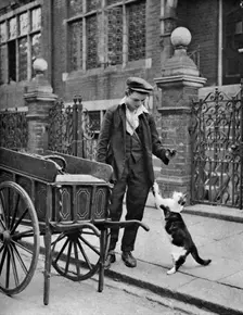 Cat's meat man London, 1926-1927. Artist: McLeish