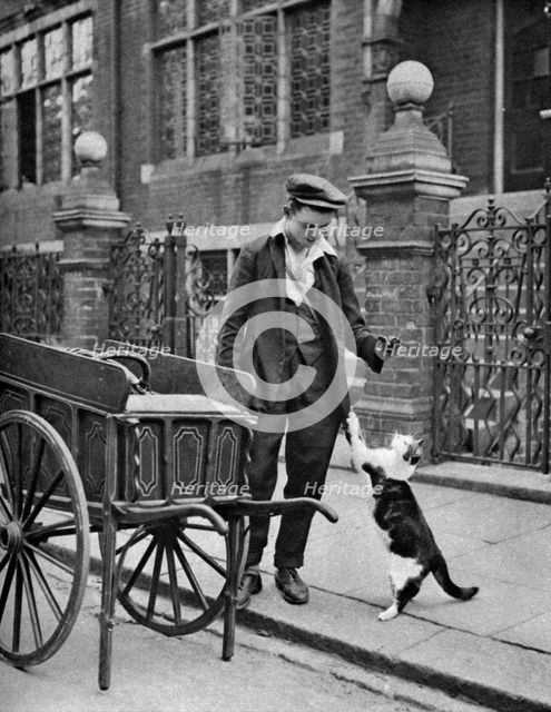 'Cat's meat man',  London, 1926-1927. Artist: McLeish