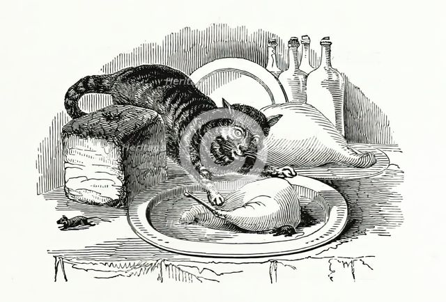 Cat stealing meat from a plate, 1847.  Creator: Unknown.