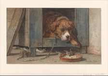 Cat spies birds with a sleeping dog, 1831-1892. Creator: Henriette Ronner