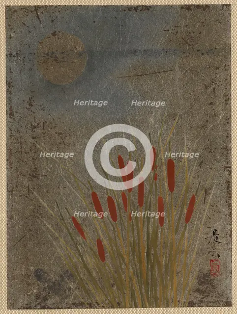 Cat Tails and Moon, mid-late 19th century. Creator: Shibata Zeshin.