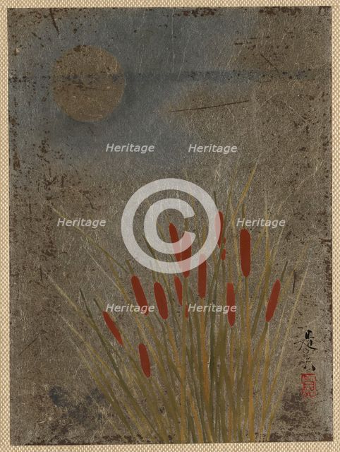 Cat Tails and Moon, mid-late 19th century. Creator: Shibata Zeshin.