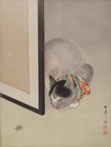 Cat Watching a Spider, ca. 1888-92. Creator: Toko Oide
