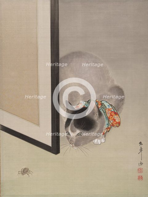 Cat Watching a Spider, ca. 1888-92. Creator: Toko Oide.