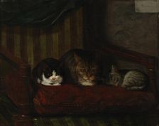 Cat with Kittens, 1863. Creator: Adolf von Becker