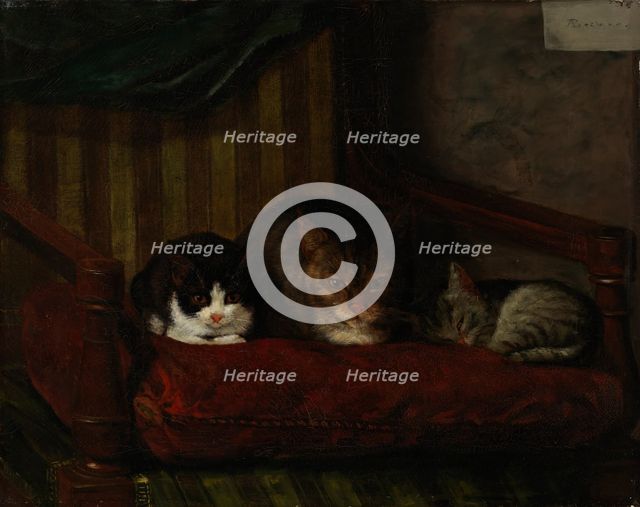 Cat with Kittens, 1863. Creator: Adolf von Becker.