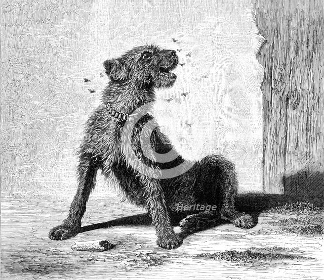 "Catching Flies," by B. Riviere, 1870. Creator: Unknown.