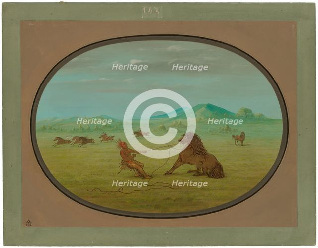 Catching Wild Horses - Pawnee, 1861/1869. Creator: George Catlin.