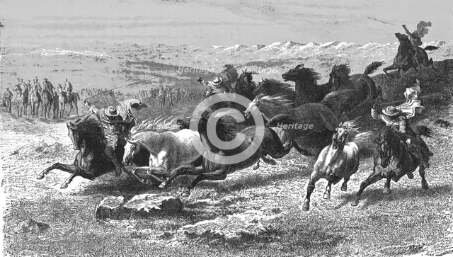 'Catching Wild Horses with the Lasso; Frontier Adventures in the Argentine Republic', 1875. Creator: Unknown.